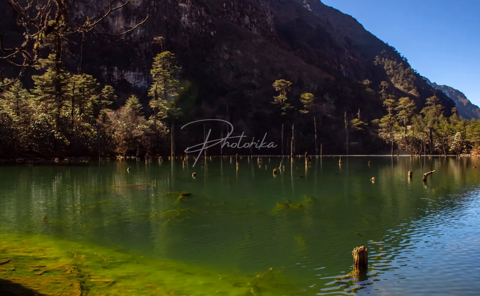 green-color-water-lake-trees-hill