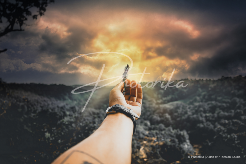 hand-holding-tree-flower-sunray-hill