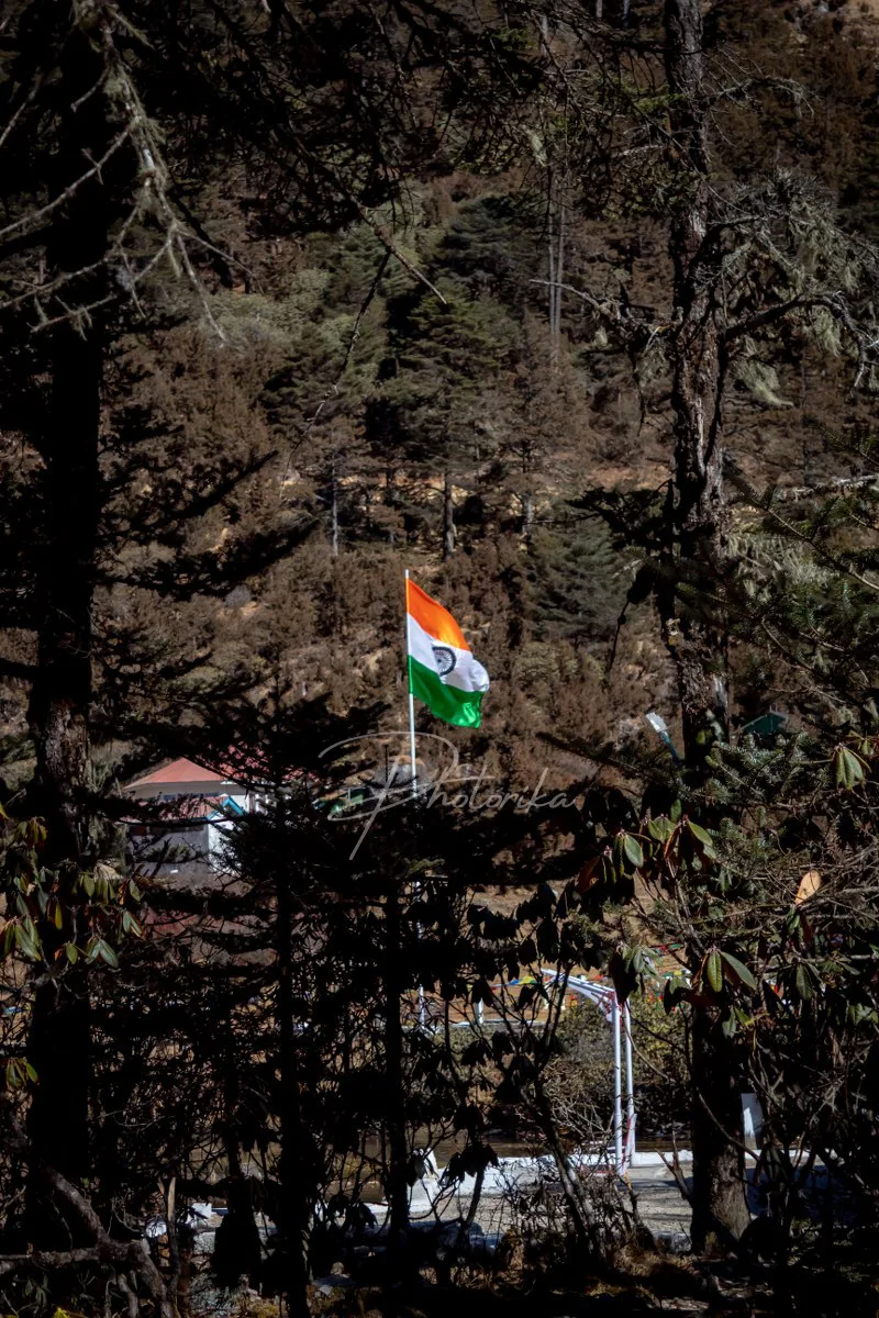tri-color-indian-national-flag-forest-hill
