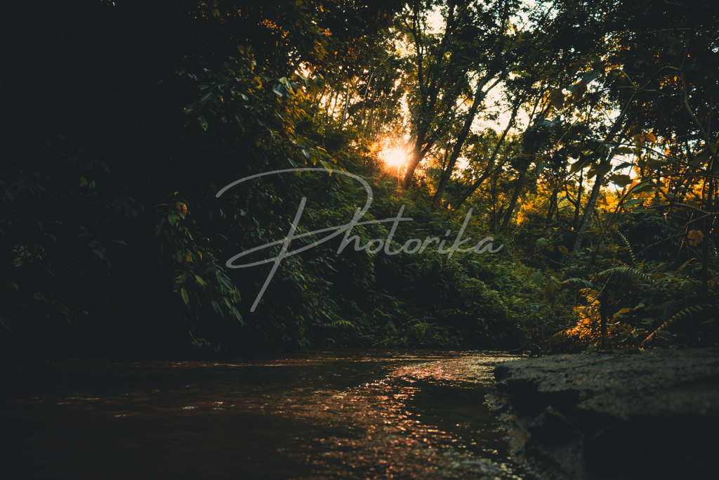 forest-sunrise-river